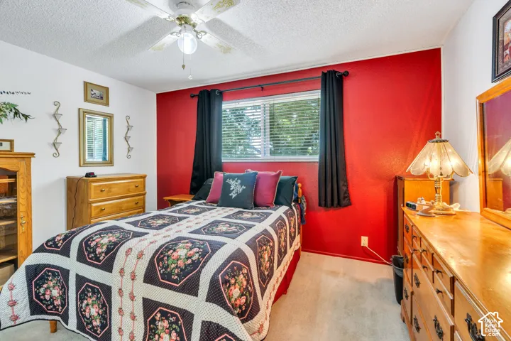 Textured ceiling with a ceiling fan light fixture, window with blinds, and carpeted flooring