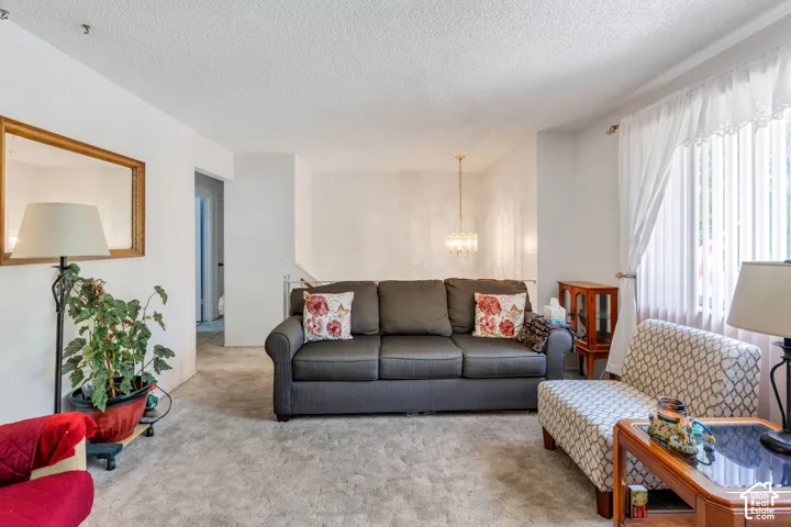 Carpeted living area with white walls and a window with vertical blinds