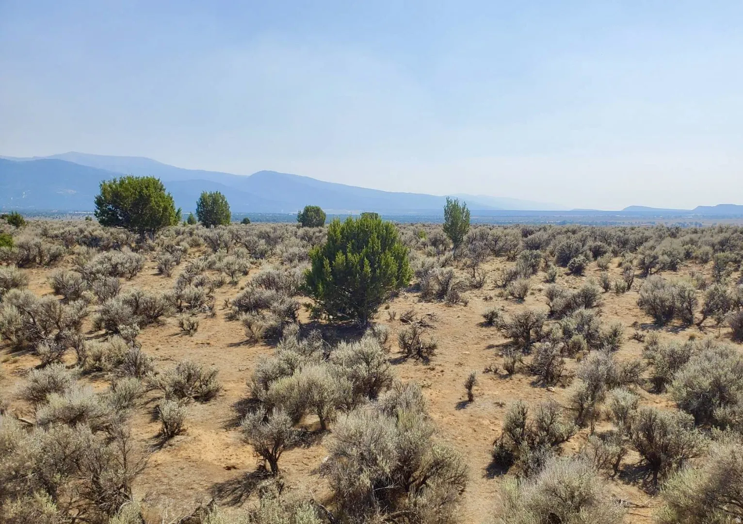 Expansive land parcel featuring natural shrubbery and mature trees