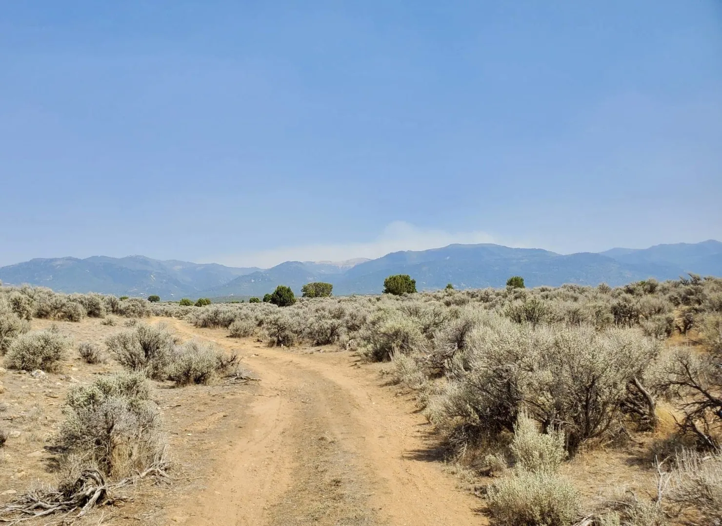 Expansive natural landscape with a clear sky, a winding dirt path, and distant mountains