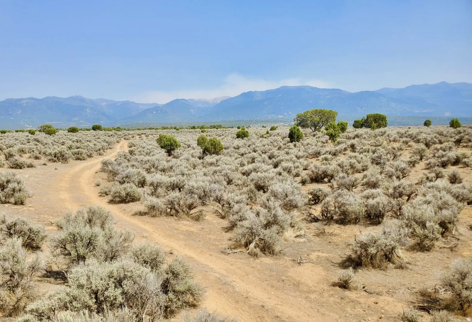 Expansive natural landscape featuring a winding dirt path, scattered green trees, and distant mountain ranges