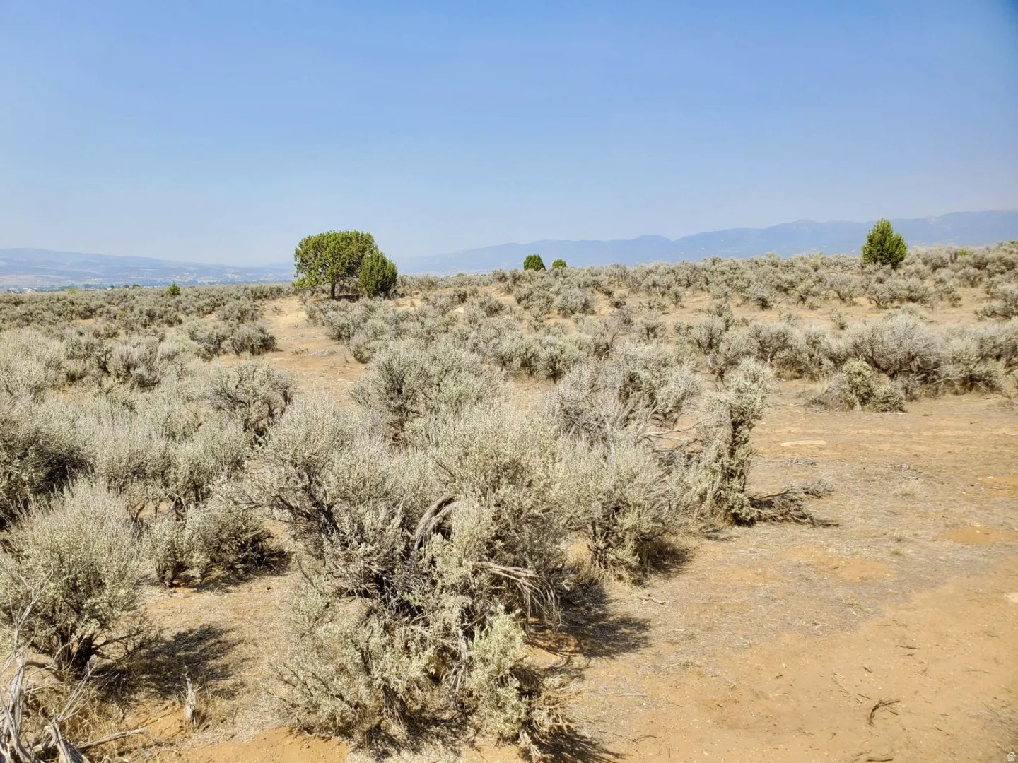 Expansive open terrain featuring natural shrubbery and distant mountain ranges