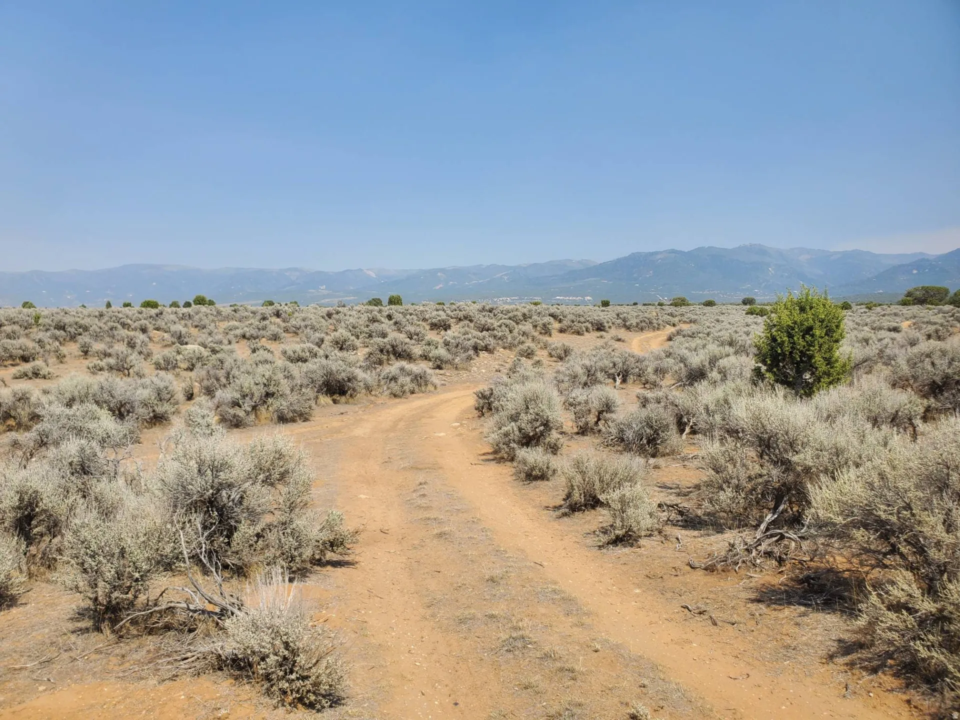 Expansive natural landscape featuring a dirt path, low-lying shrubs, distant mountains, and a clear sky