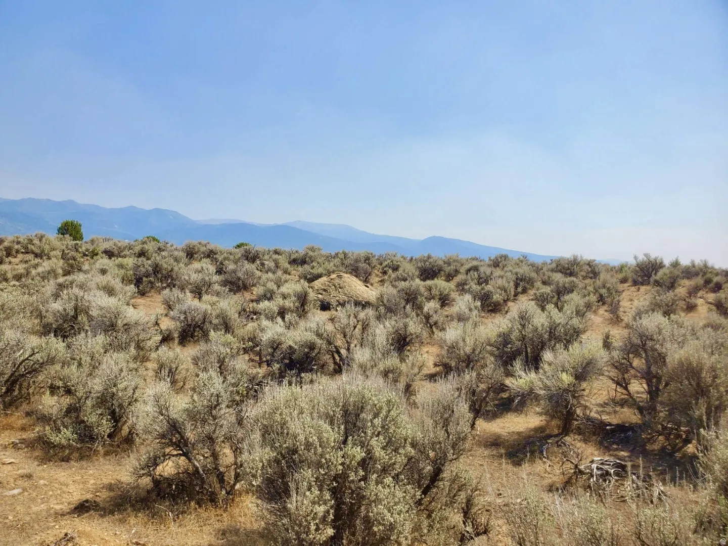 Expansive terrain featuring natural shrubbery and distant mountain ranges