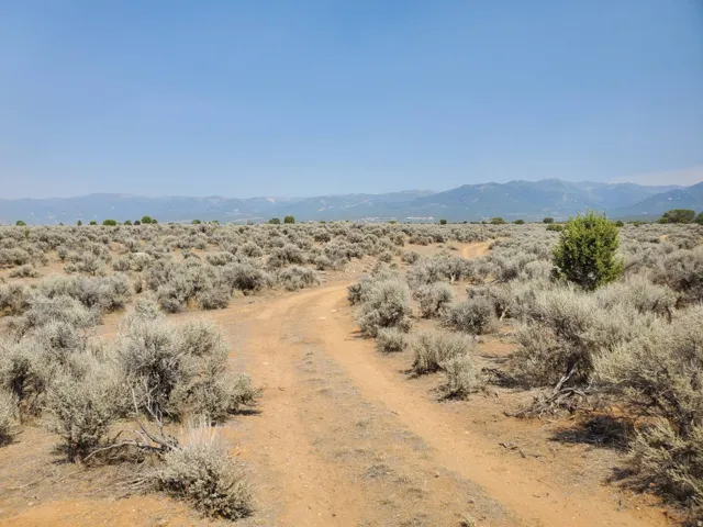 Expansive natural landscape featuring a dirt path, low-lying shrubs, distant mountains, and a clear sky