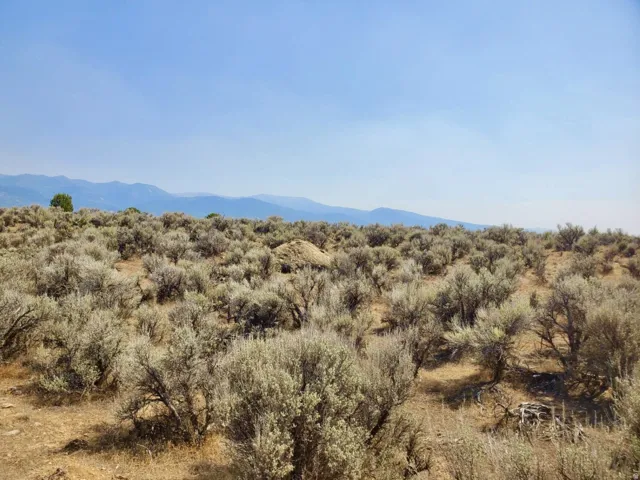 Expansive terrain featuring natural shrubbery and distant mountain ranges