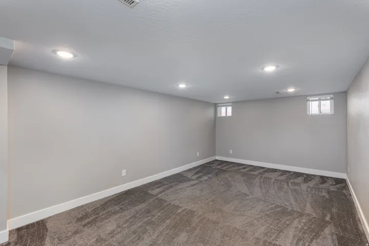 Basement Living Room