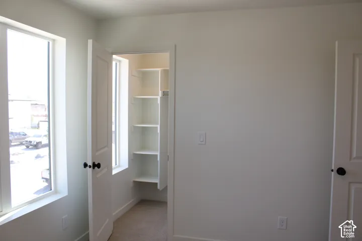 Walk-in closet with built-in shelving, two windows, and carpet flooring