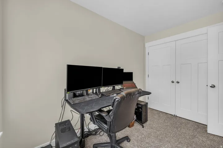 Neutral wall paint, plush carpeting, and a built-in closet with panel doors