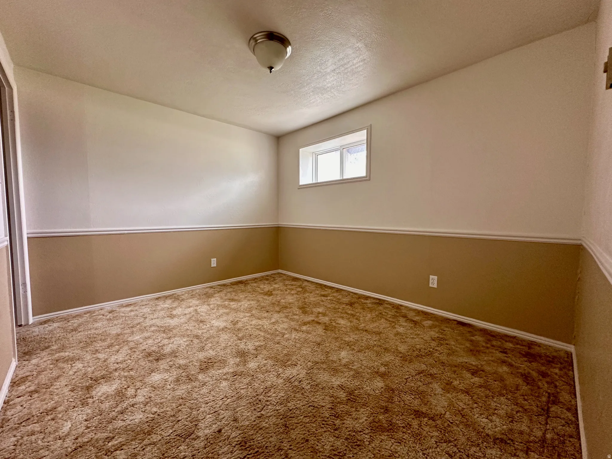 Wall-to-wall carpeting, two-tone wall treatment, and a single window