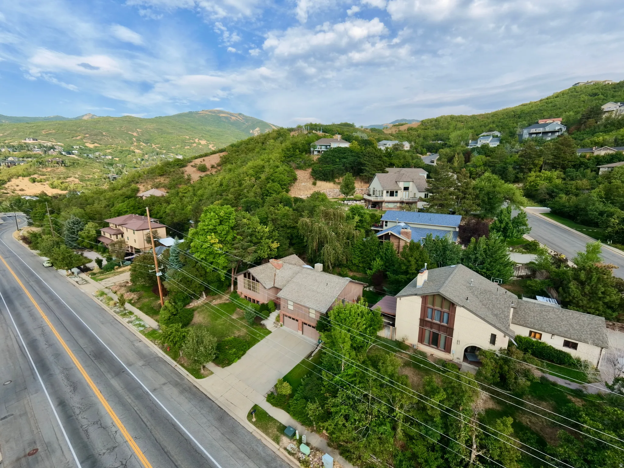 Lush, tree-covered hillside setting with varied architectural styles