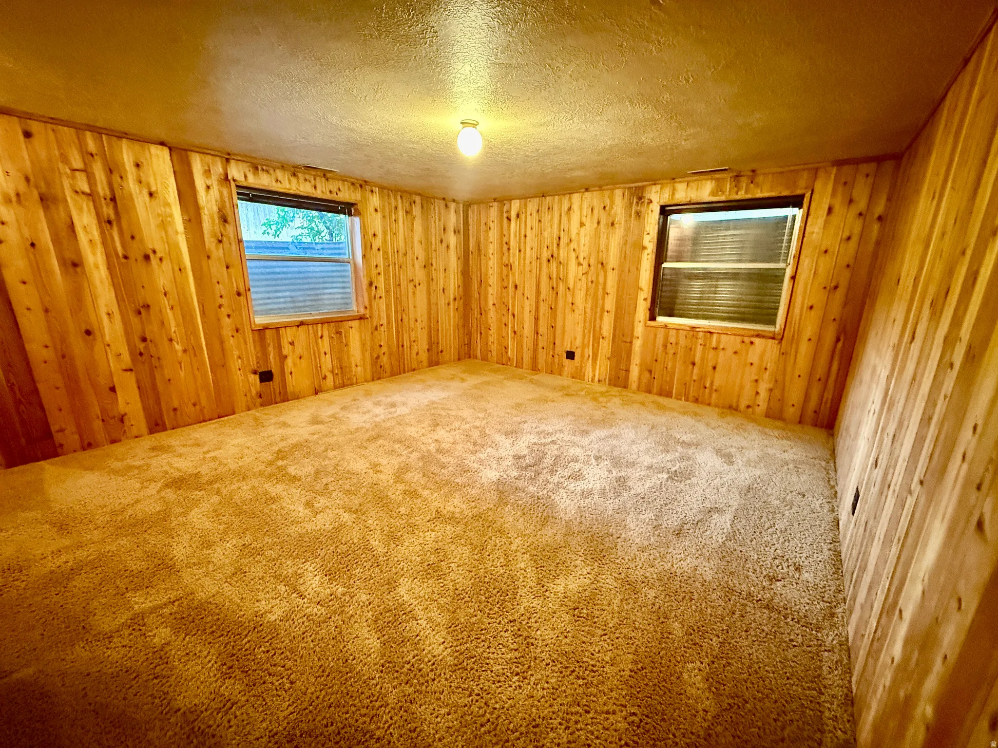 Wood-paneled bedroom on lower level, two windows with blinds, wall-to-wall carpeting, and a ceiling-mounted light fixture