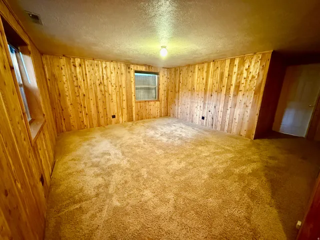 Wood-paneled bedroom on lower level, carpeted flooring, and a single ceiling-mounted light fixture