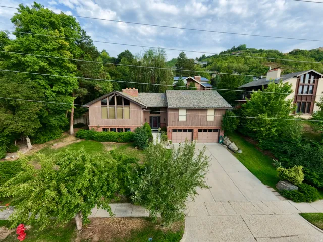 Expansive property with mature landscaping