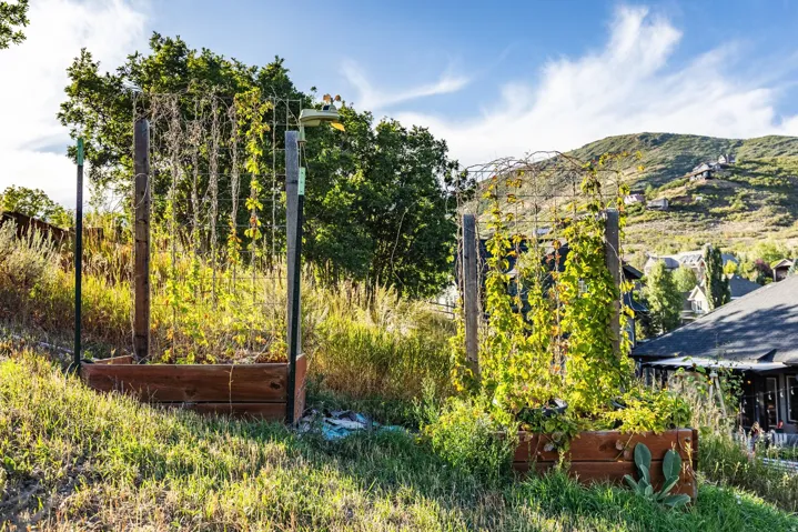 460 E Saddle Dr, Midway, Utah 84049
