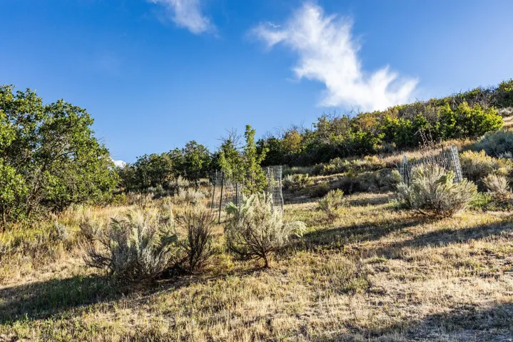 460 E Saddle Dr, Midway, Utah 84049