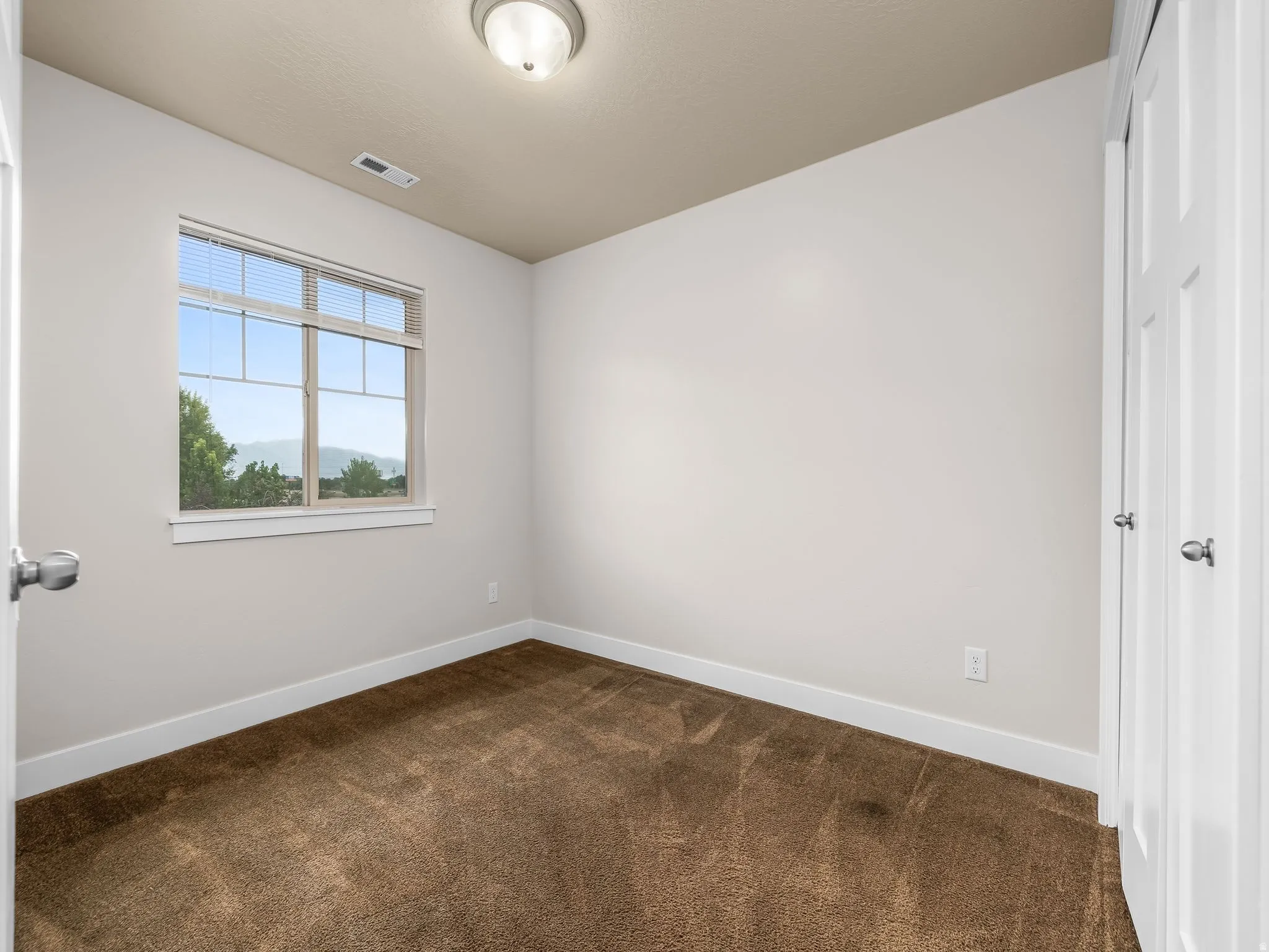 Carpeted flooring, a window with horizontal blinds, and a flush-mount ceiling light fixture