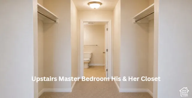 Dual open closets with hanging rods, flush-mount ceiling light, and carpet flooring