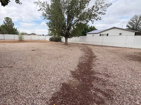 Expansive backyard featuring a gravel surface, mature tree, and chain-link fencing