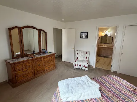 Carpeted flooring throughout, white wall finishes, and an en-suite bathroom featuring a vanity with an ornate mirror