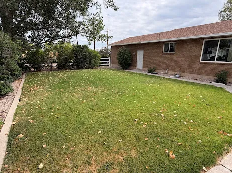Expansive lawn with mature trees and established perimeter landscaping