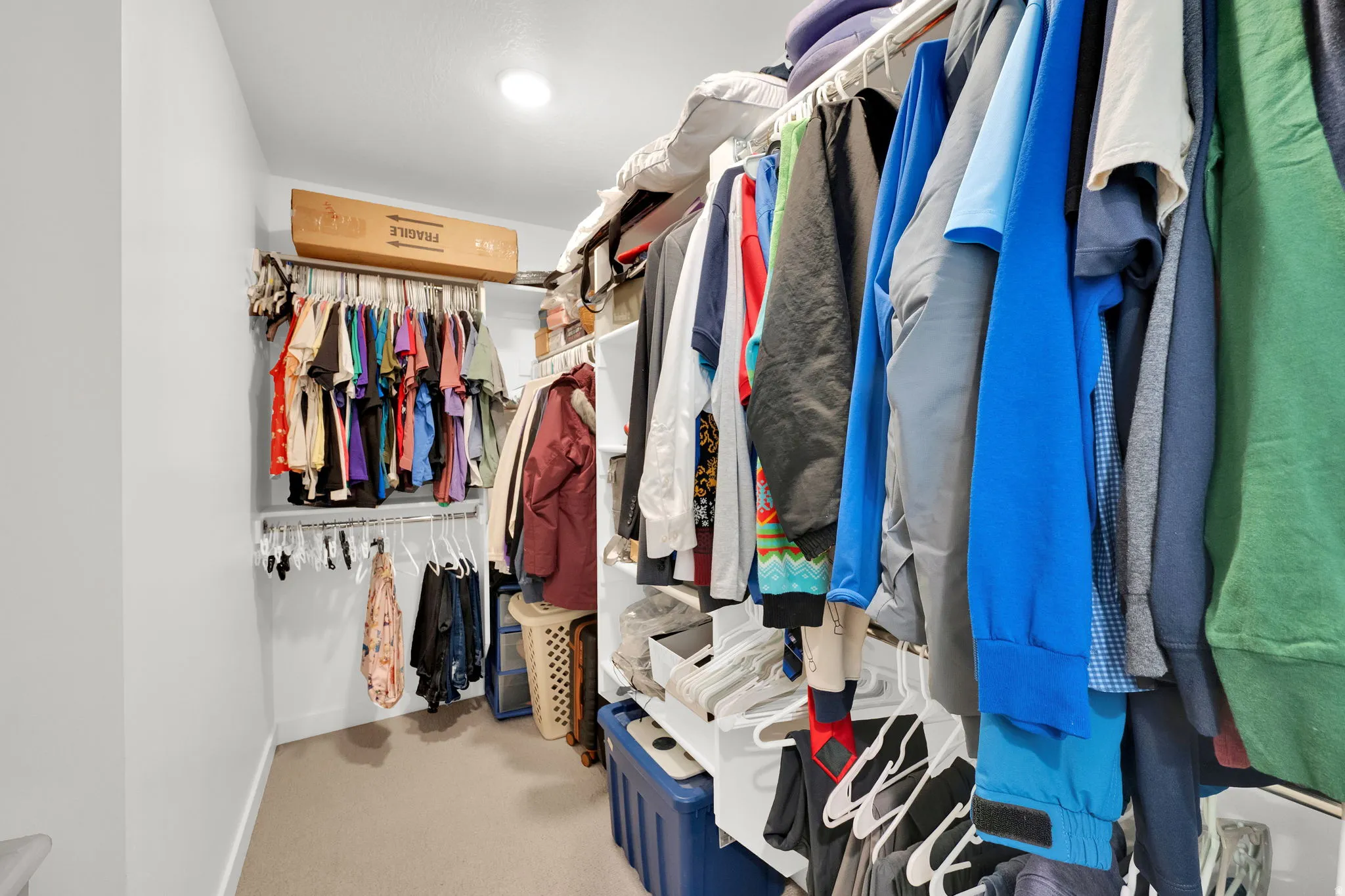Recessed lighting illuminates a walk-in closet featuring built-in shelving, multiple hanging rods, and carpet flooring