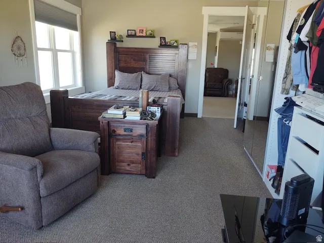 Carpeted flooring, white trim details, window with roller shade, and built-in closet shelving