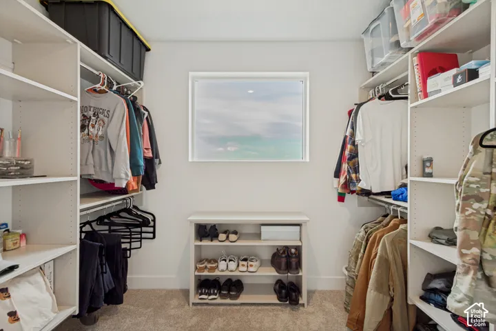 Walk-in closet with carpeted flooring, built-in shelving, hanging rods, and a window for natural light