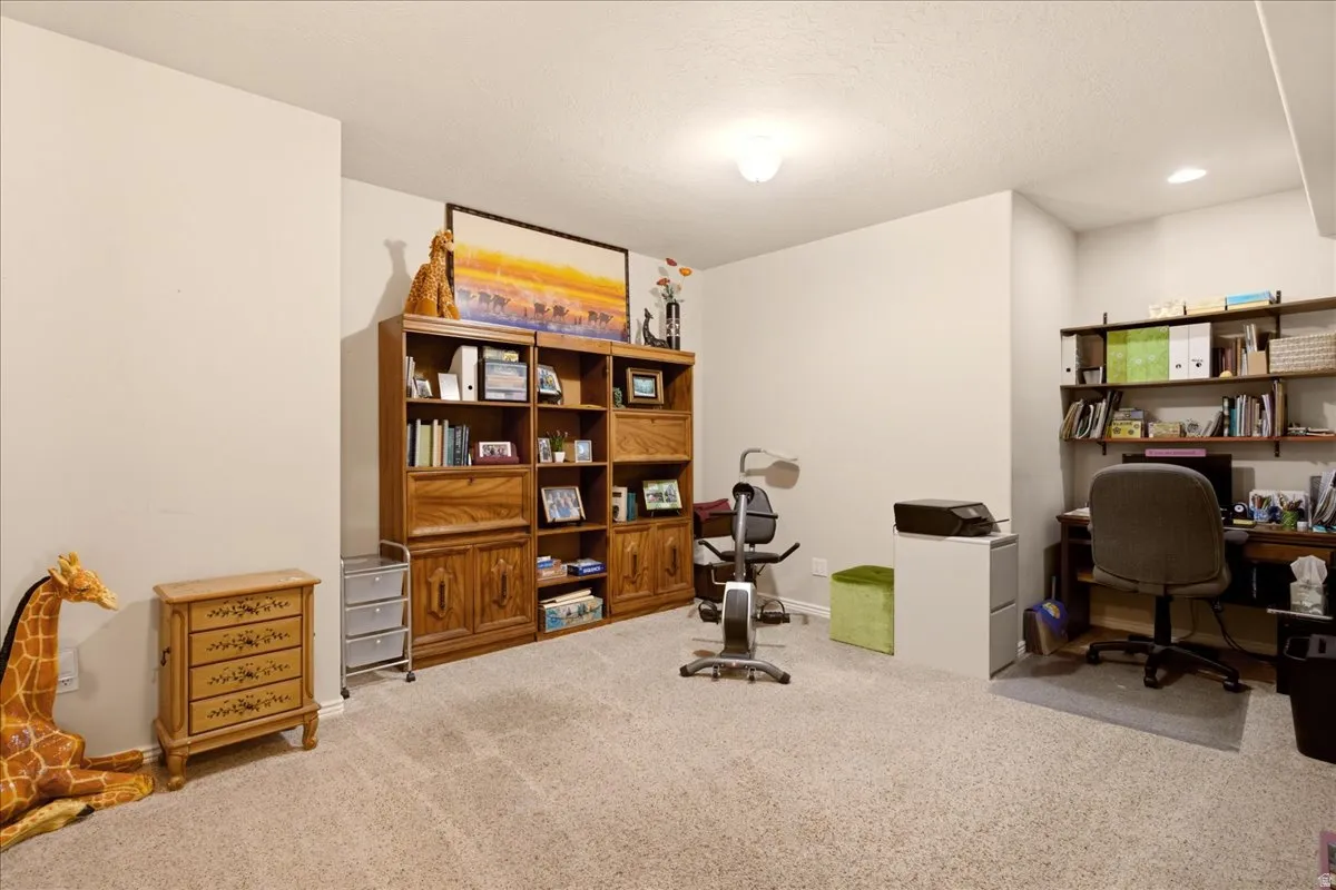Basement flex space currently being used as an office