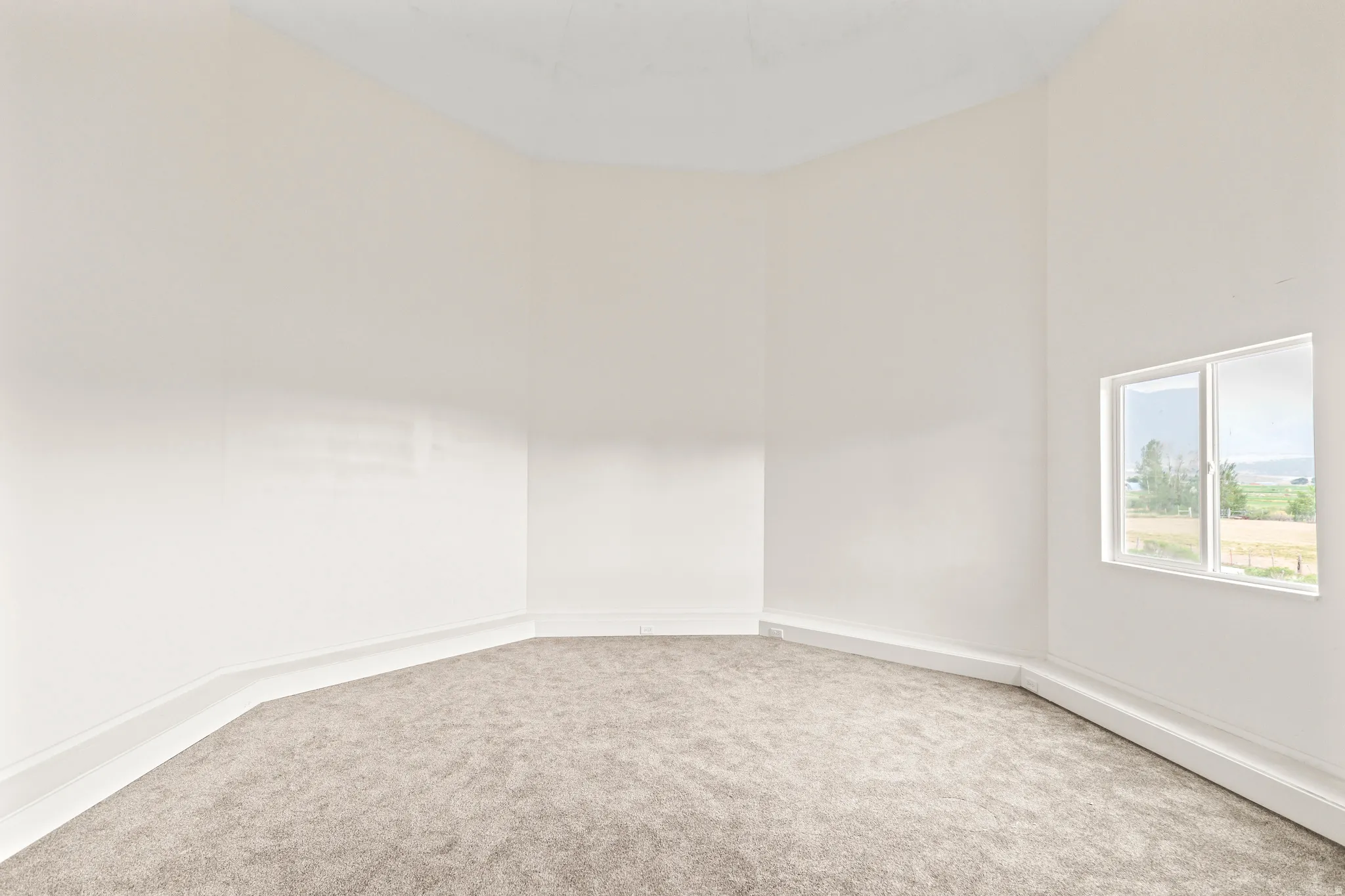 Wall-to-wall carpeting with light-toned walls and trim, featuring a multi-pane window