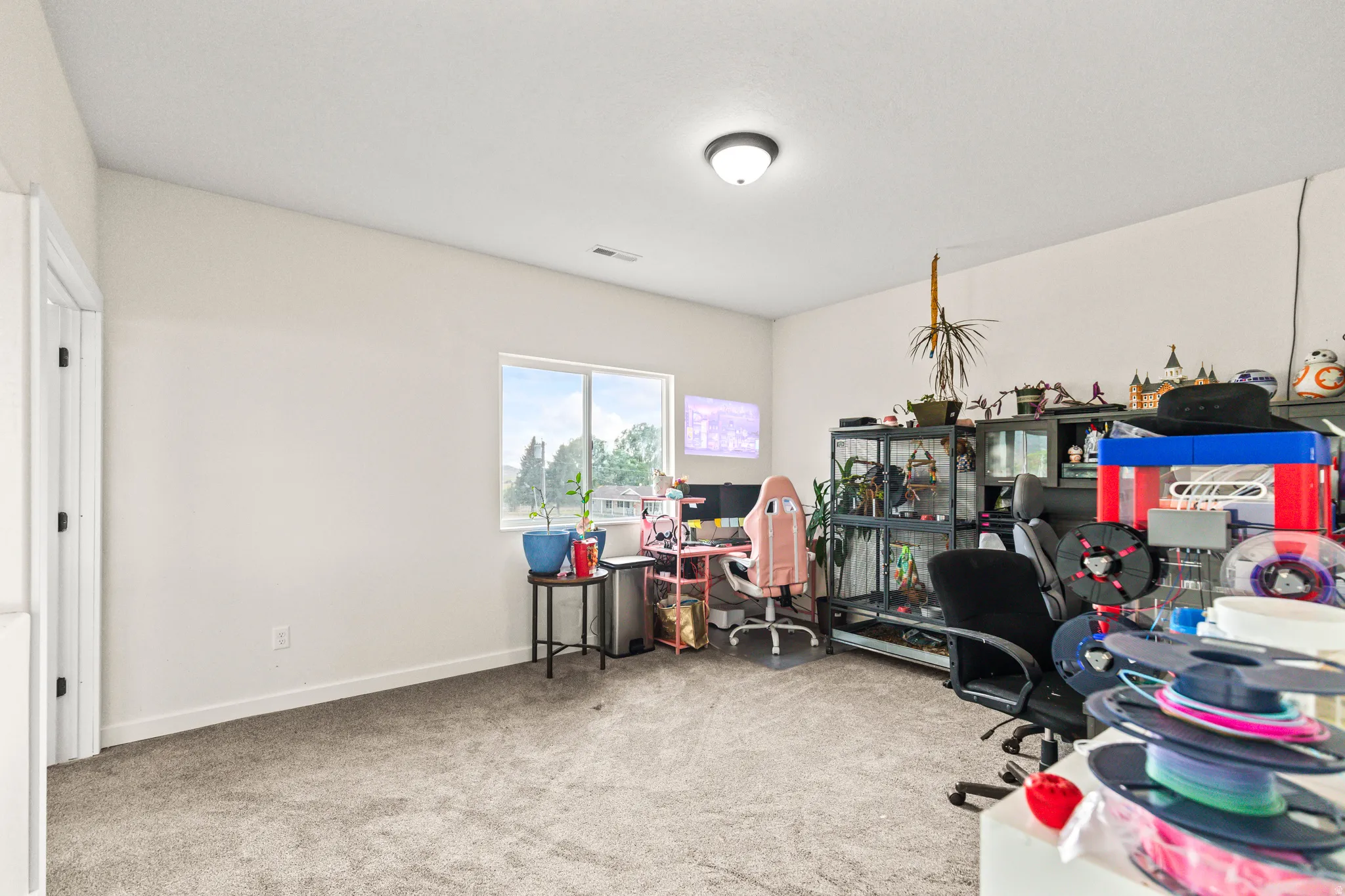 Light gray carpeting, white painted walls, a single window, and a flush-mount ceiling light fixture