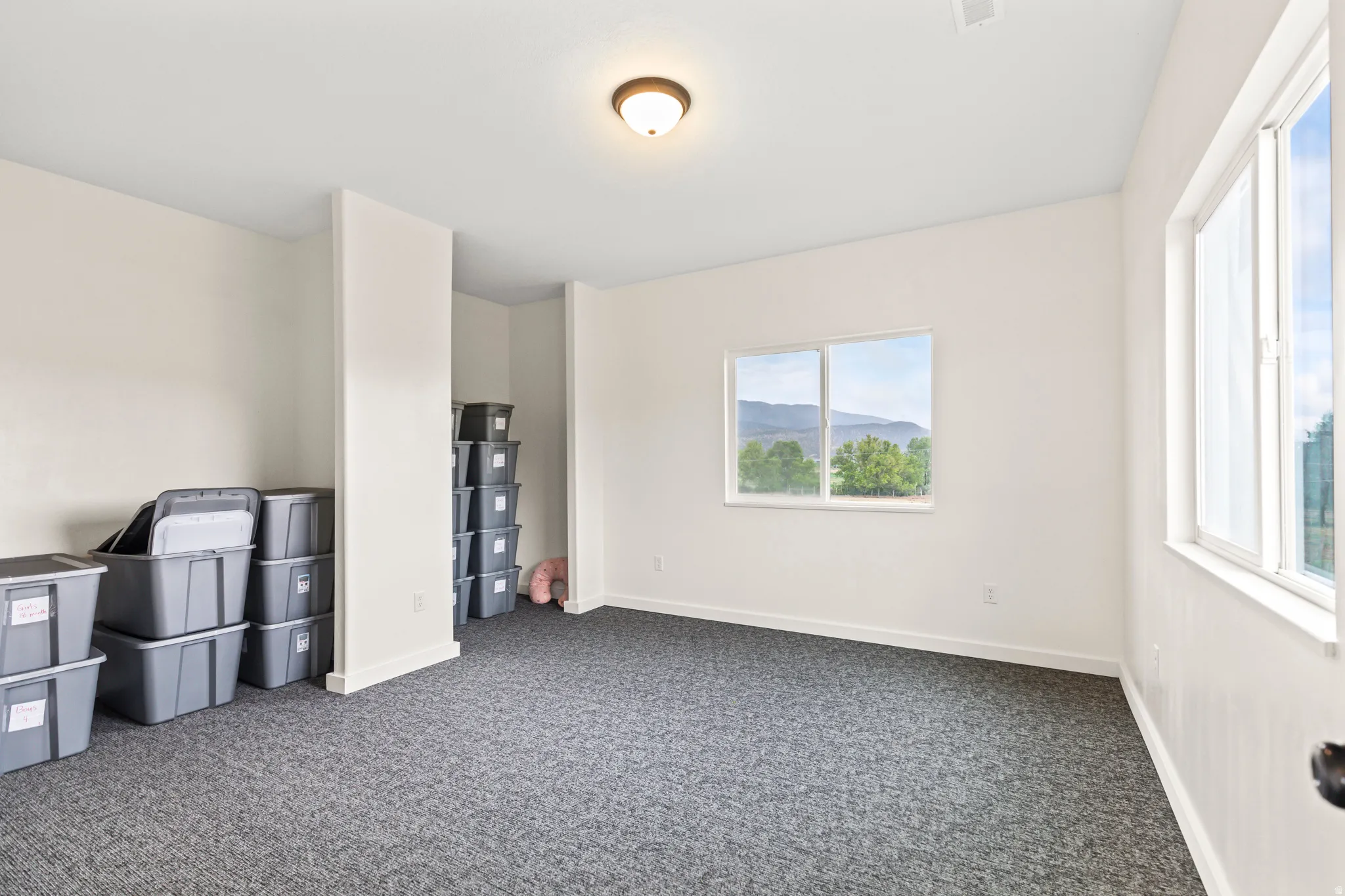 Neutral-toned walls complement the gray carpeting