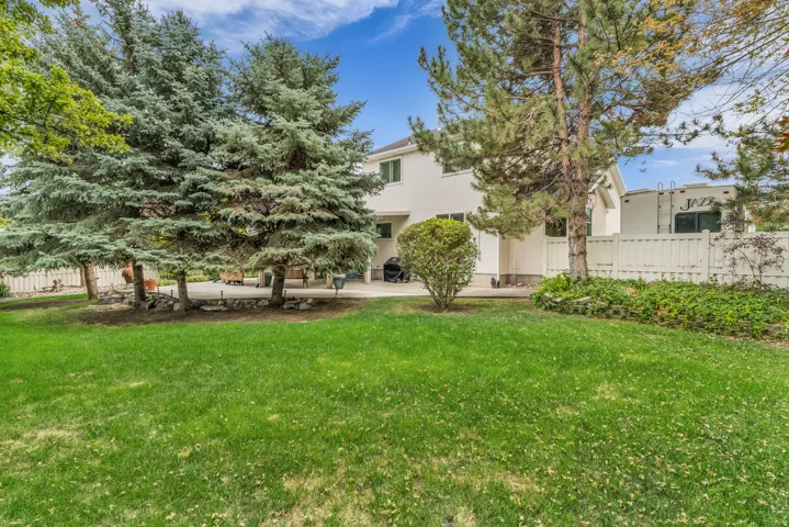 Expansive green lawn with mature evergreen trees and a paved patio area
