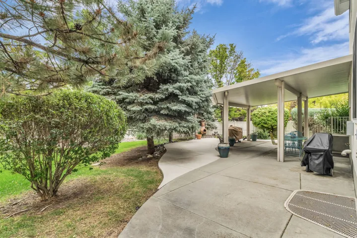 Expansive concrete patio with a covered outdoor area, mature evergreen trees, and manicured shrubs