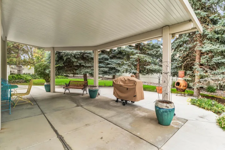 Expansive covered patio with concrete flooring, supported by structural columns, overlooking a landscaped yard with mature evergreen trees and a manicured lawn