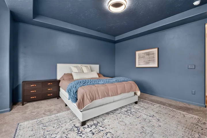 Tray ceiling detail, overhead flush-mount lighting, wall-to-wall carpeting, and painted walls