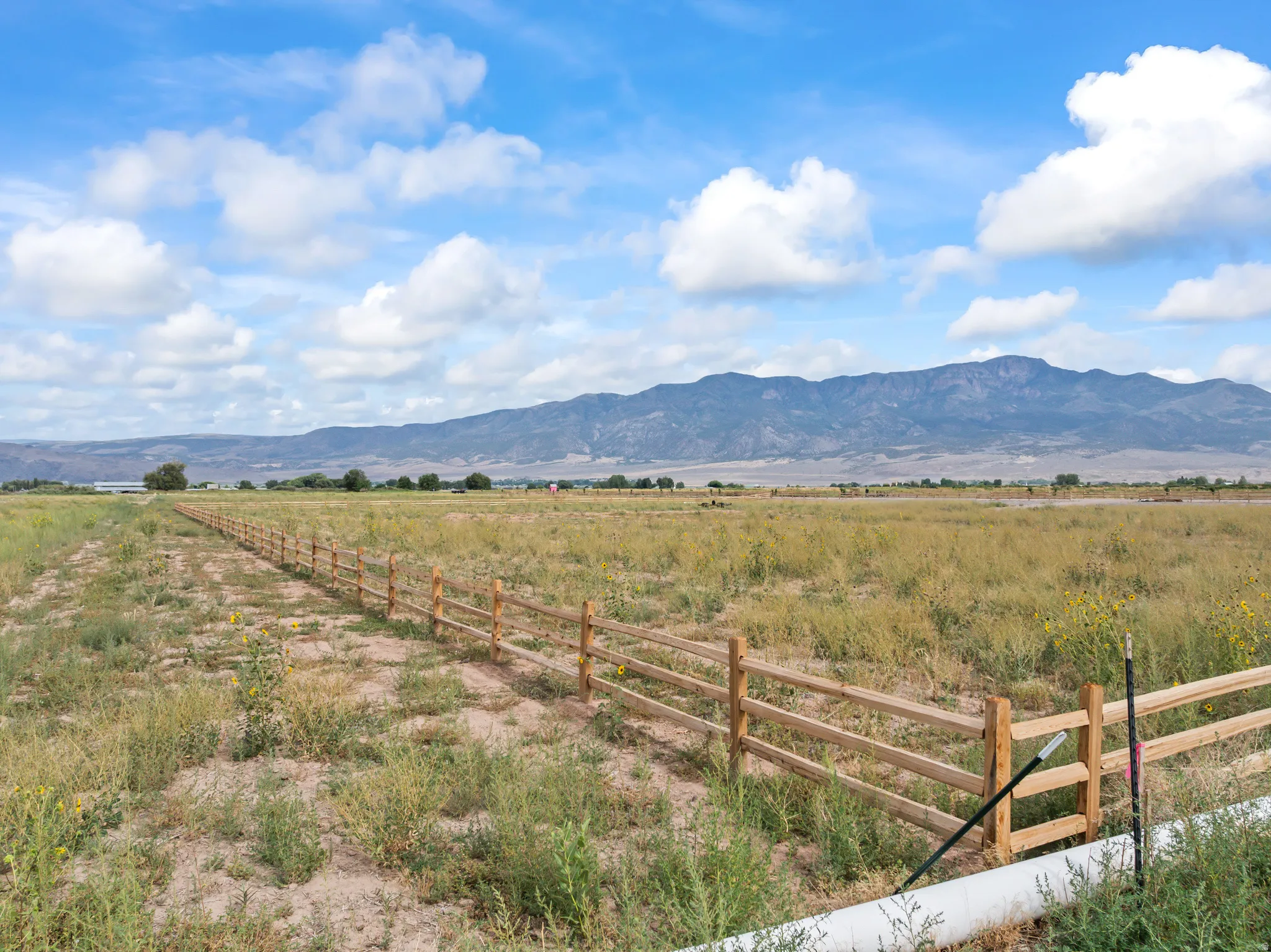 Expansive open land with a split-rail fence, featuring a distant mountain range under a blue sky