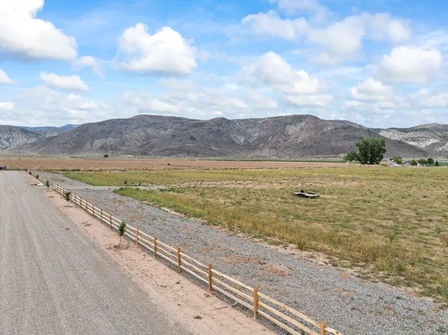 Gravel road bordered by a split-rail fence, young trees, and an expansive field