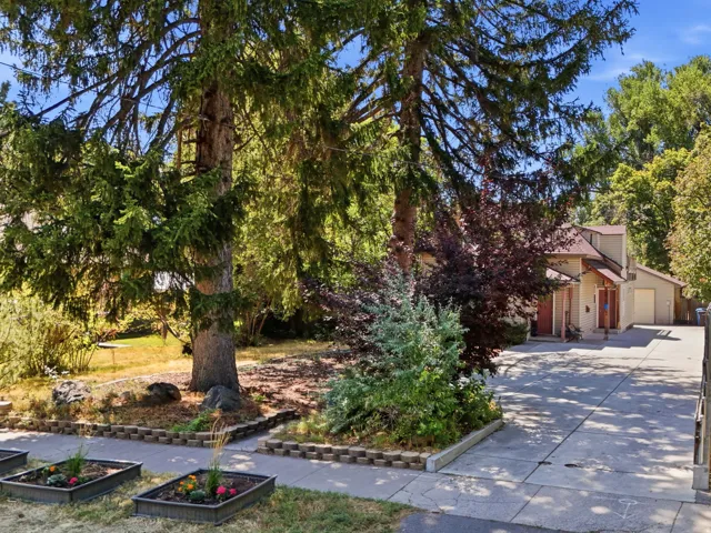 Paved driveway leading to an attached garage, bordered by mature trees and shrubs