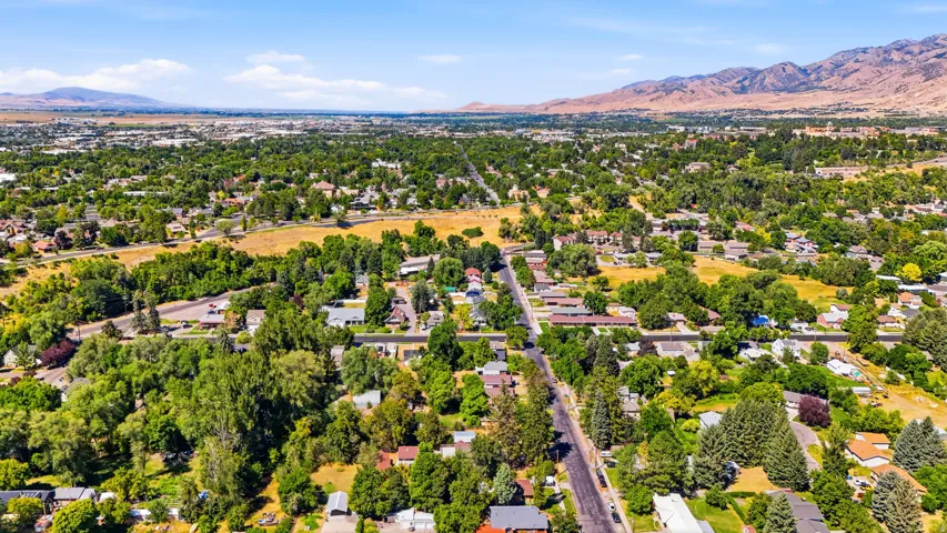 Expansive neighborhood with abundant mature trees and distant mountain ranges