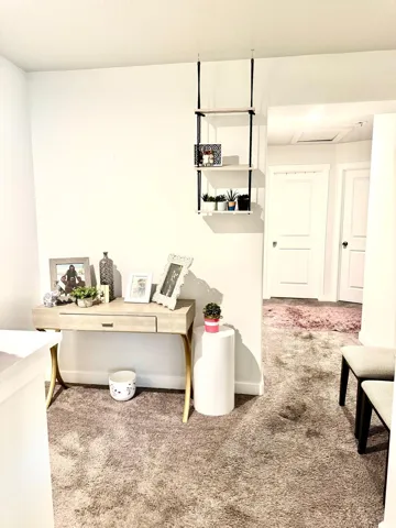 Wall-mounted shelving unit and flush-mounted ceiling lighting