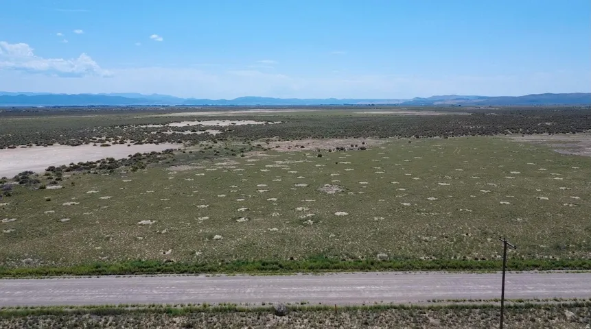 Expansive open landscape with natural vegetation, a dirt road, and distant mountains