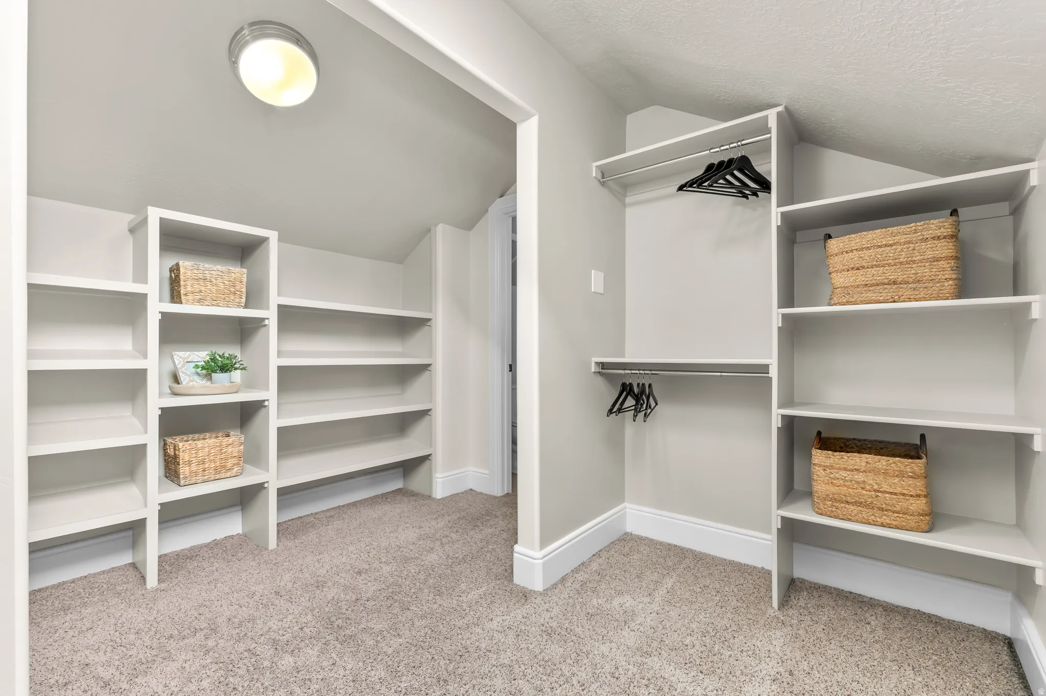 Built-in shelving units, integrated hanging rods, flush-mount ceiling light, and neutral carpet flooring