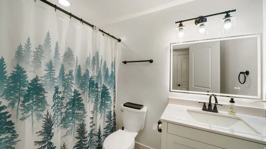 Basement - Bathroom