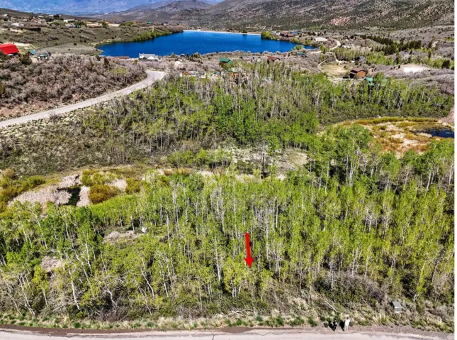 Expansive wooded lot featuring mature trees and mountain scenery