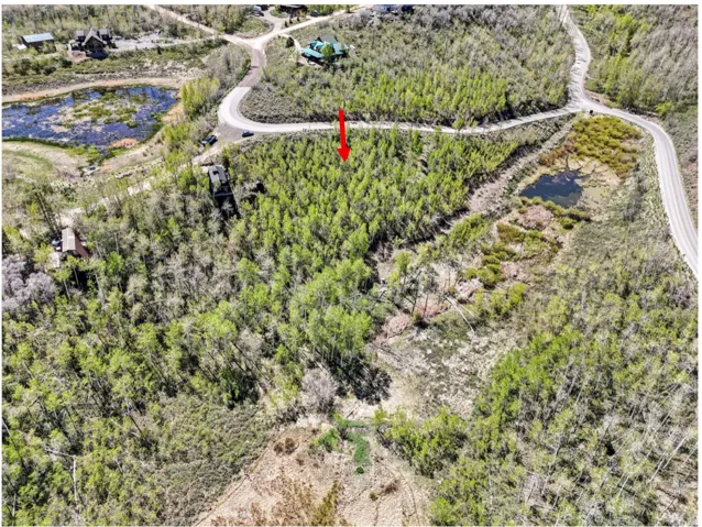 Wooded lot with mature trees, natural water features, and unpaved roads