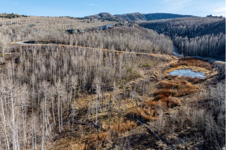 Rolling terrain with extensive tree coverage and natural water features