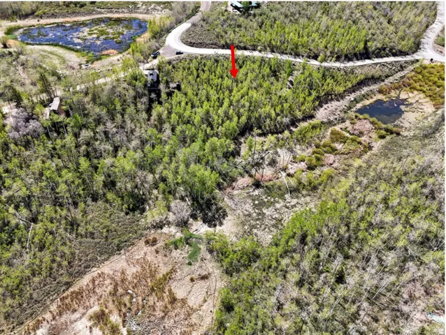 Abundant mature trees, two distinct ponds, surrounding undeveloped land, and a visible roadway
