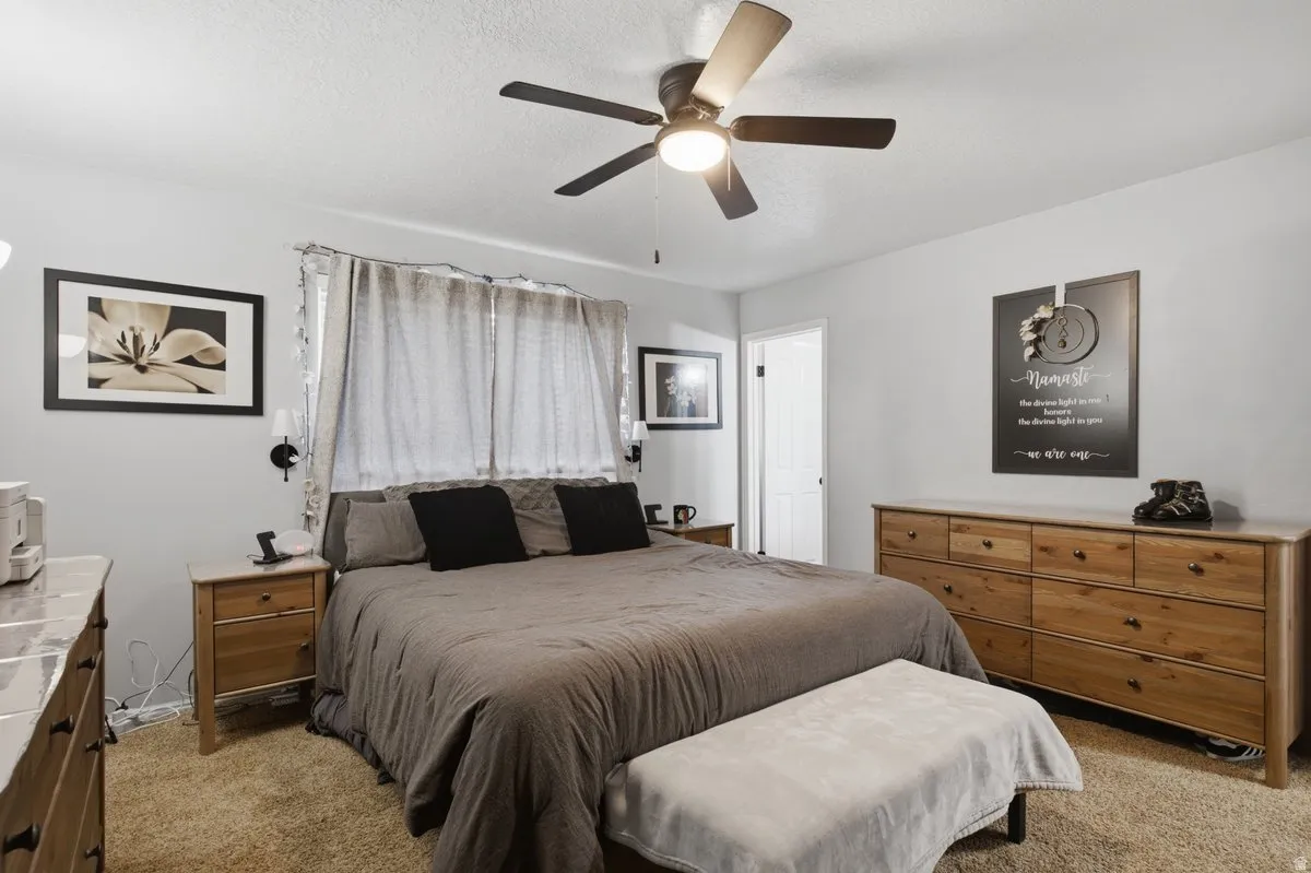Neutral wall paint, ceiling fan, carpet flooring, and a window with blinds