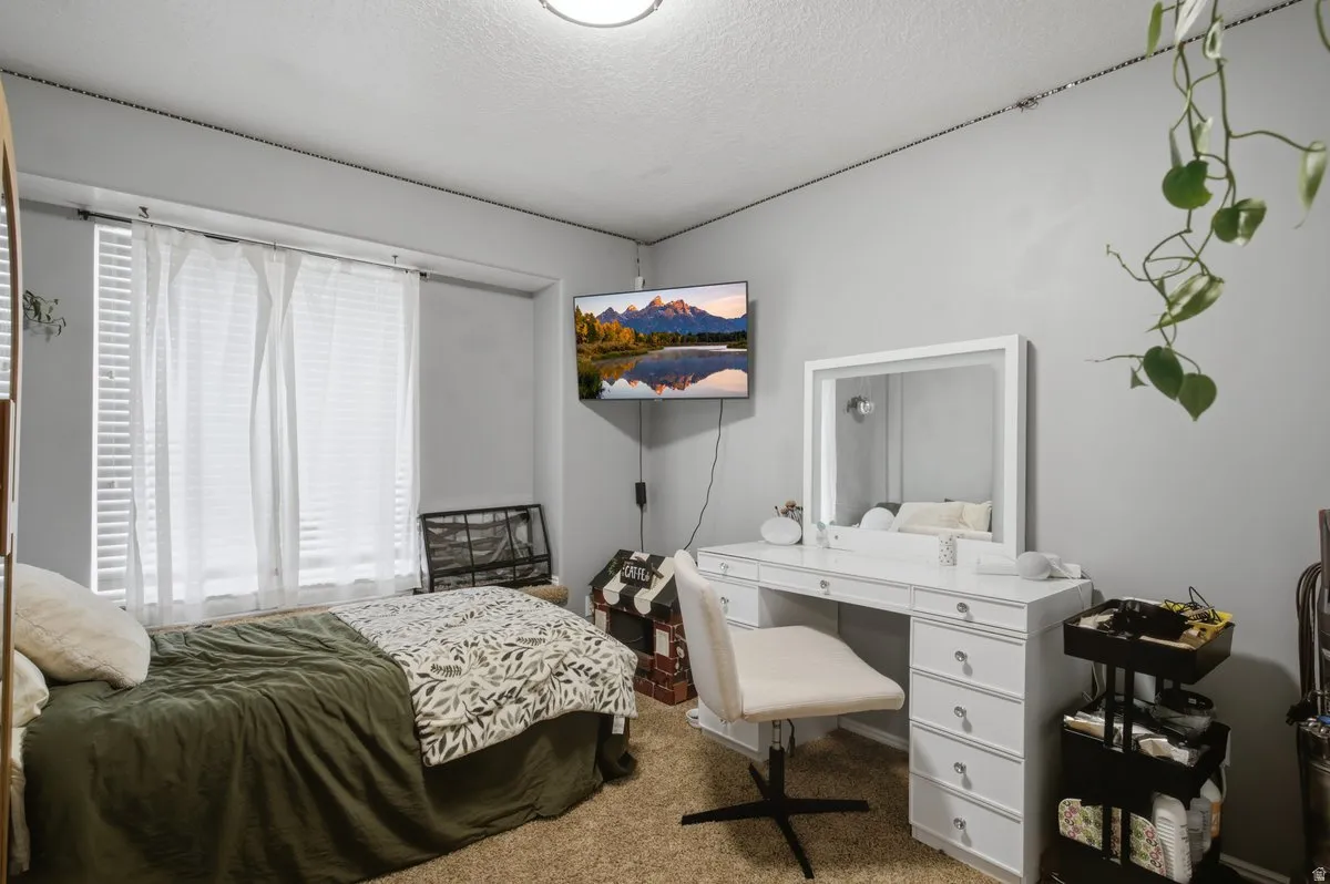 Wall-mounted television, window with horizontal blinds, vanity with integrated lighting, built-in vanity drawers, and carpeted flooring